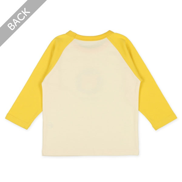 Bundle PA Autumn/Winter/Spring