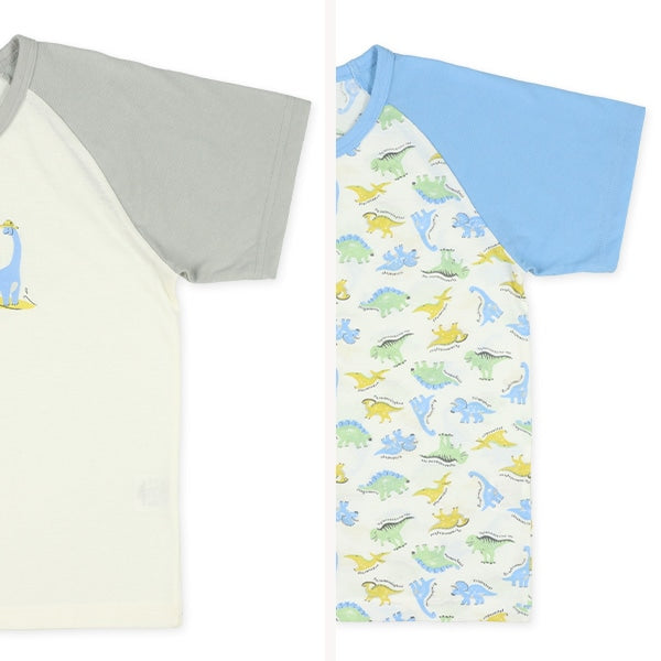 Dinosaur Short Sleeve T-shirt and Pants Set