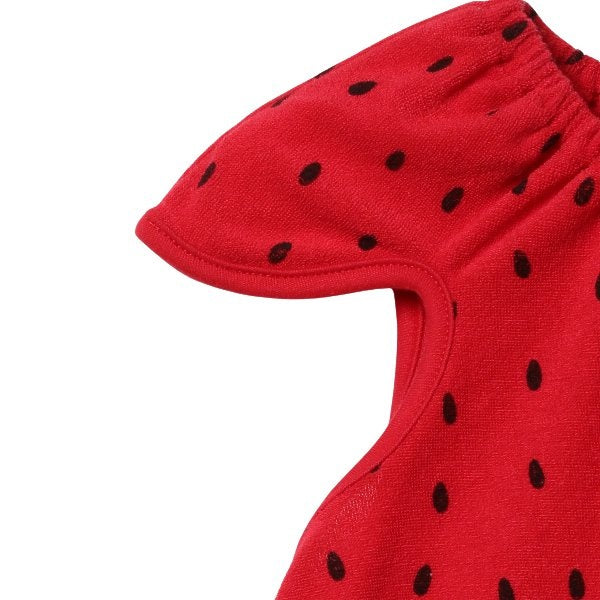 Watermelon Sleeveless Blouse and Shorts Set