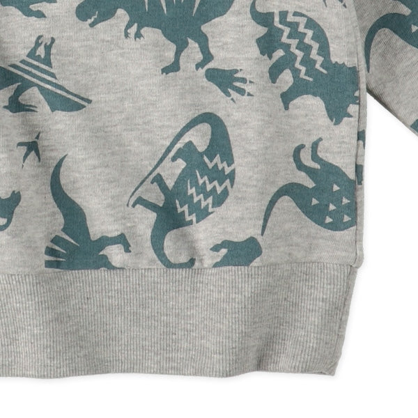 Dinosaur Sweatshirt (Spring)