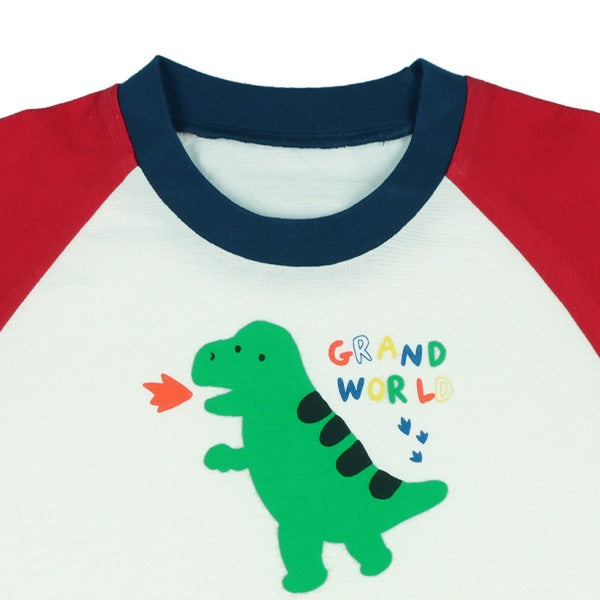 Dinosaur Short Sleeve T-shirt and Pants Set