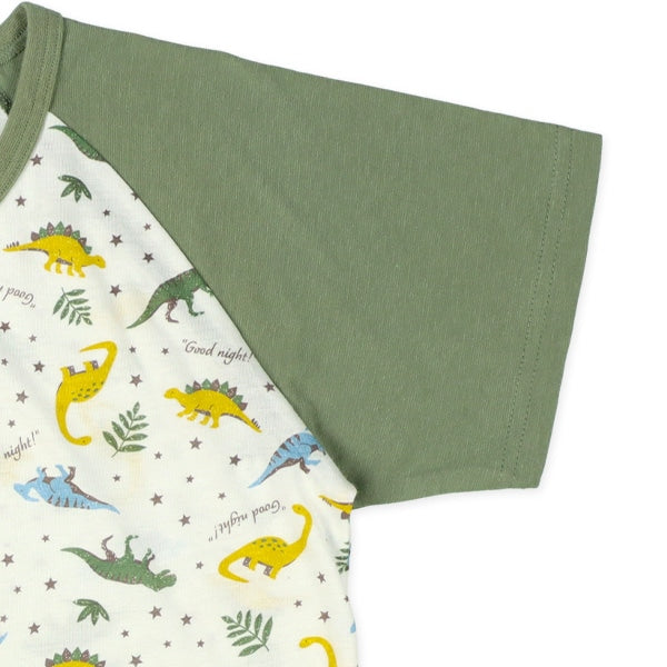 Dinosaur Short Sleeve T-shirt and Pants Set