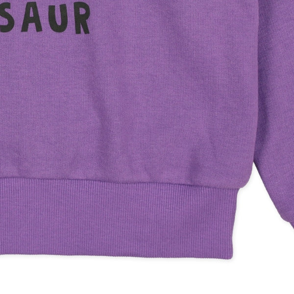 Big Dinosaur Print Sweatshirt (Winter, Spring, Autumn)