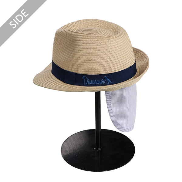 Washable and Foldable Hat