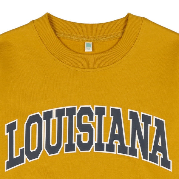 Big Logo Sweatshirt (Winter, Spring, Autumn)