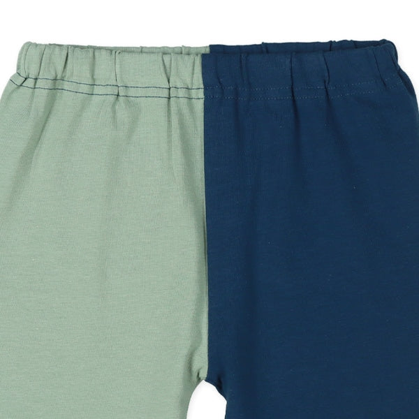 Knit Shorts