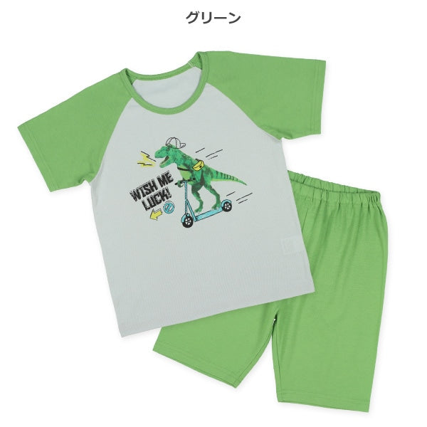 Dinosaur Short Sleeve T-shirt and Pants Set