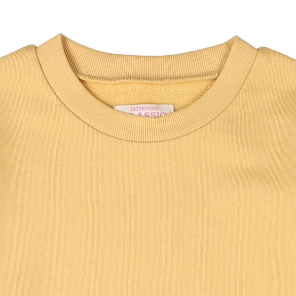 Long Sleeve Sweatshirt (Spring)