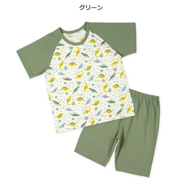 Dinosaur Short Sleeve T-shirt and Pants Set