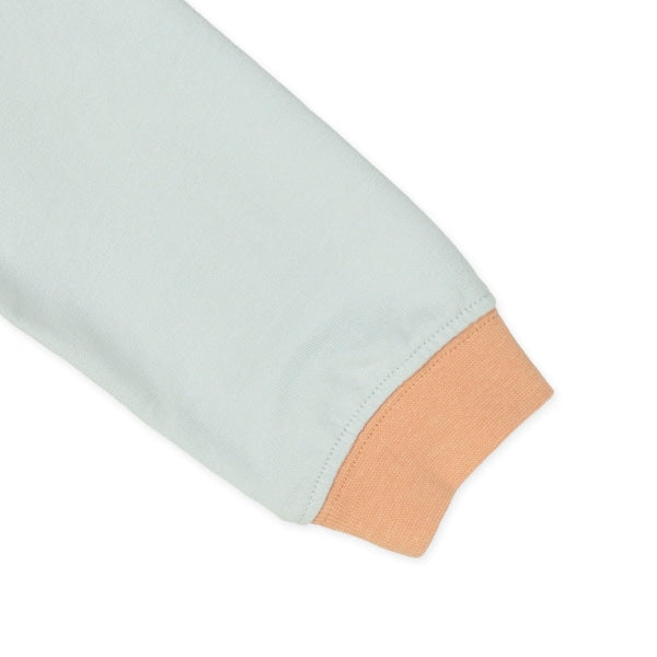 Color Block Raglan Sleeve Sweatshirt (Spring)