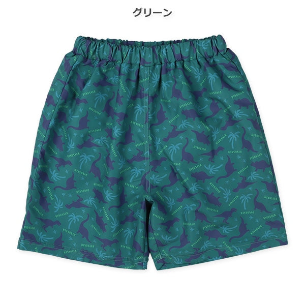 Dinosaur Swimwear