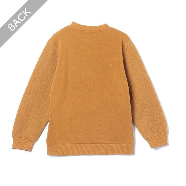 Kids' Boy Brushed Sweatshirt (Winter)