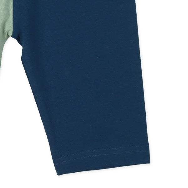 Knit Shorts