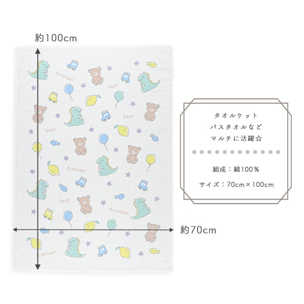 Towel Blanket