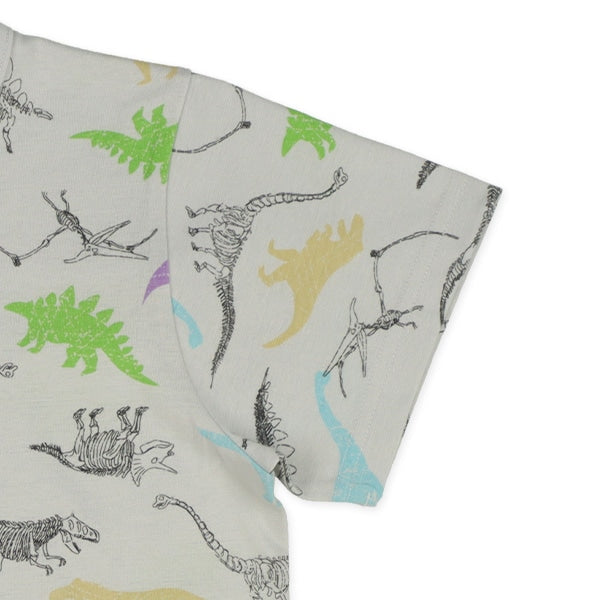 Dinosaur Short Sleeve T-shirt and Pants Set