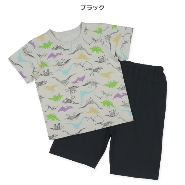 Dinosaur Short Sleeve T-shirt and Pants Set