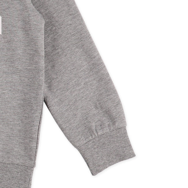 College Logo Sweatshirt (Winter, Spring, Autumn)