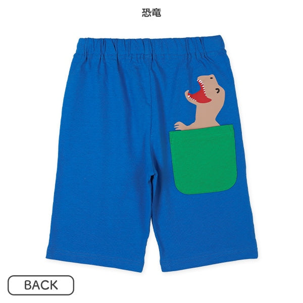 Kinit Shorts