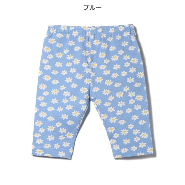 Knit Shorts