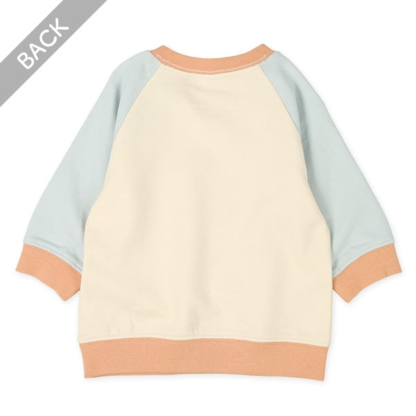 Color Block Raglan Sleeve Sweatshirt (Spring)