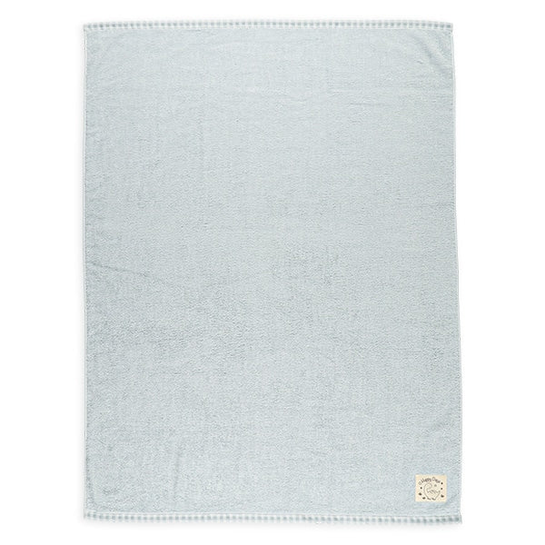 Dinosaur Towel Blanket