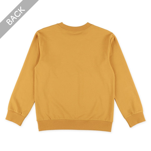 Long Sleeve Sweatshirt (Winter, Spring, Autumn)