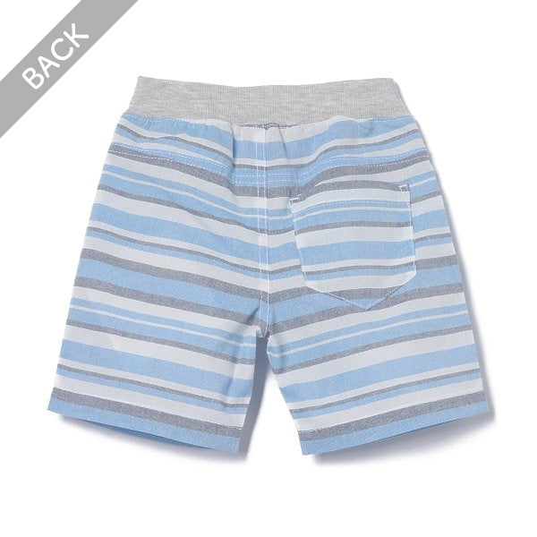 Stripe Shorts