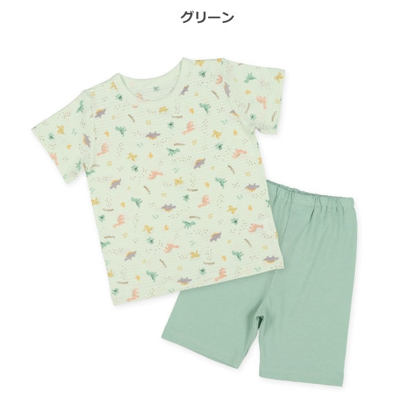 Dinosaur T-shirt and Pants Set