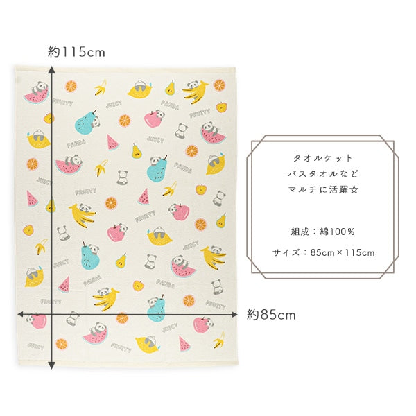 Towel Blanket