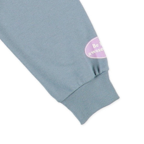 Long Sleeve Sweatshirt (Spring)
