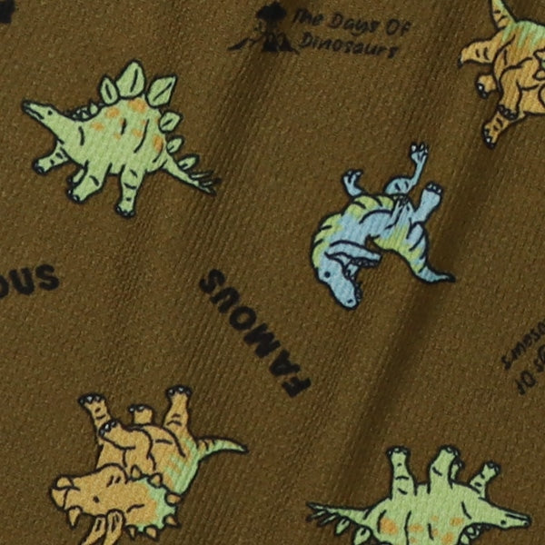 Dinosaur Long Underwear