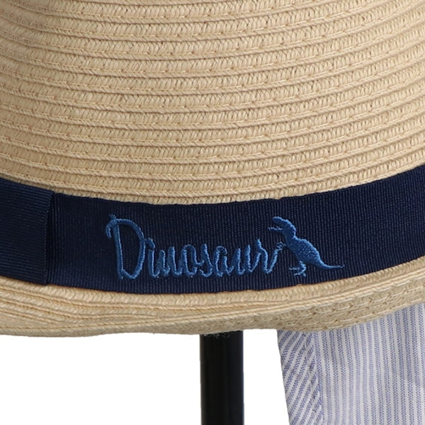 Washable and Foldable Hat