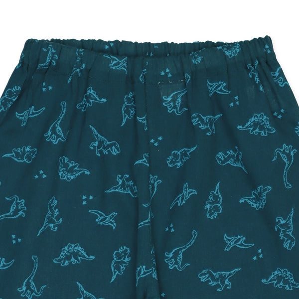 Dinosaur Long Underwear