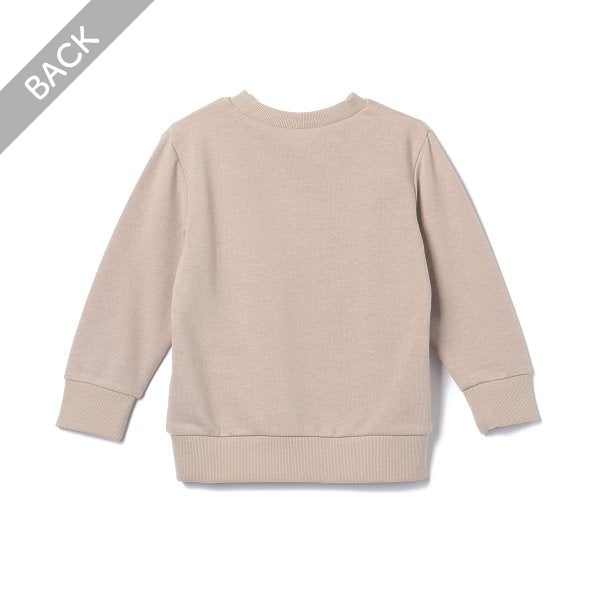 Small Embroidered Sweatshirt (Winter, Spring, Autumn)