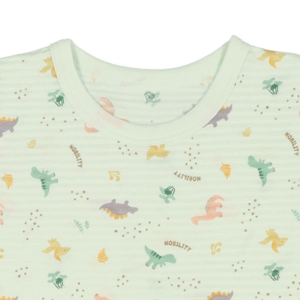 Dinosaur T-shirt and Pants Set