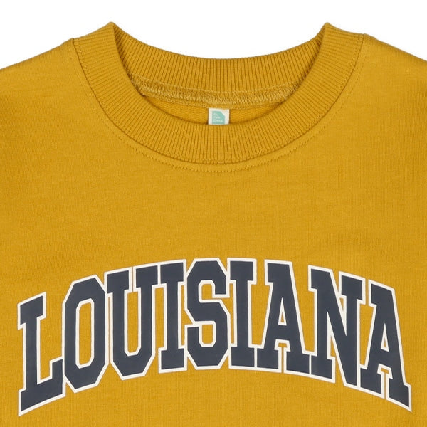 Big Logo Sweatshirt (Winter, Spring, Autumn)