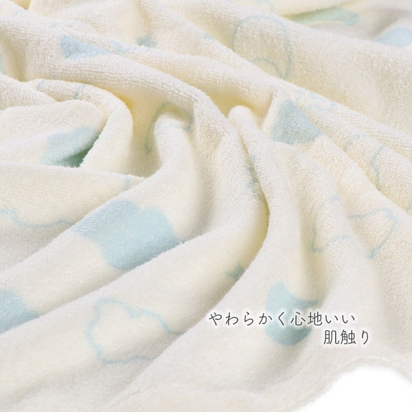 Towel Blanket