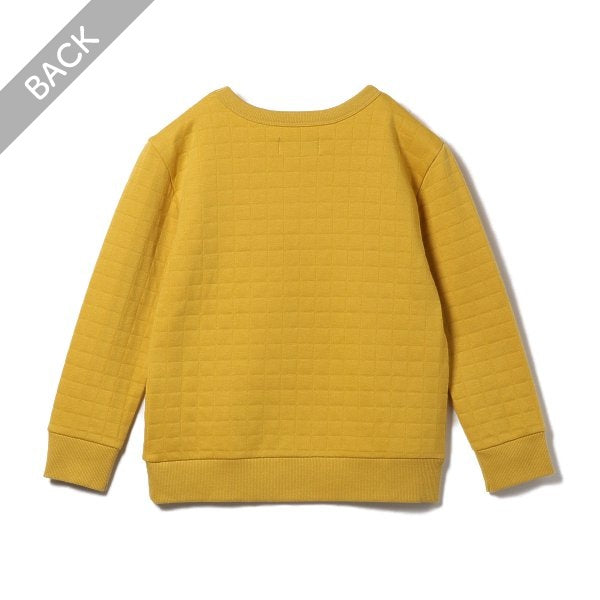 Kids' Boy Brushed Sweatshirt (Winter)