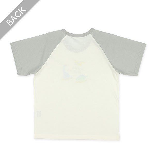 Dinosaur Short Sleeve T-shirt and Pants Set
