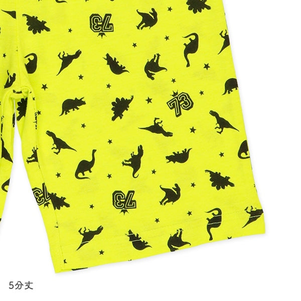Dinosaur Short Sleeve T-shirt and Pants Set