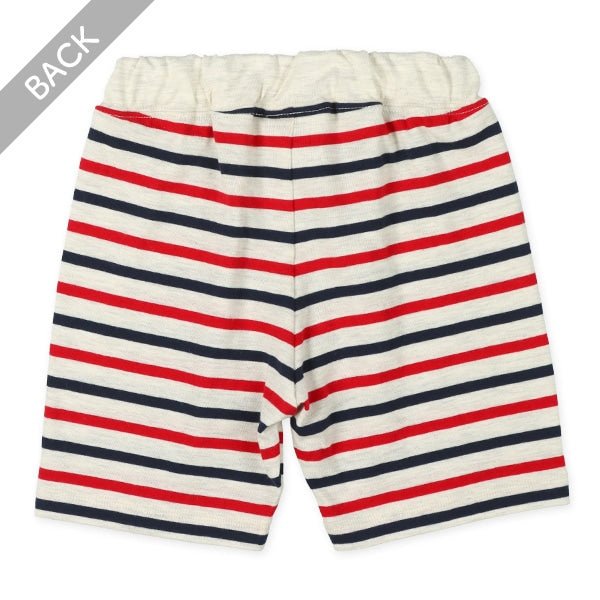Knit Shorts