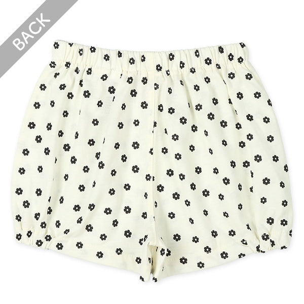 Knit Shorts