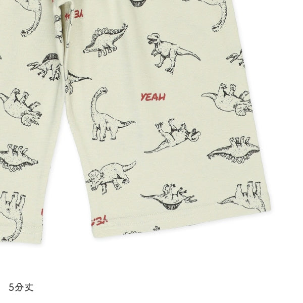 2Pieces High Waist Shark Pants