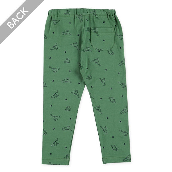 Dinosaur Print Leggings (Winter, Spring, Autumn)
