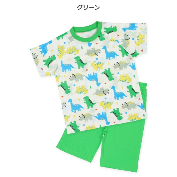 Dinosaur Short Sleeve T-shirt and Pants Set