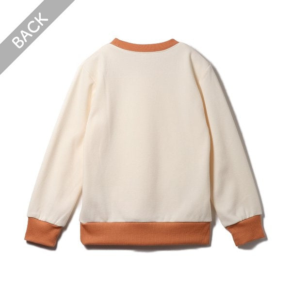Kids' Boy Brushed Sweatshirt (Winter)