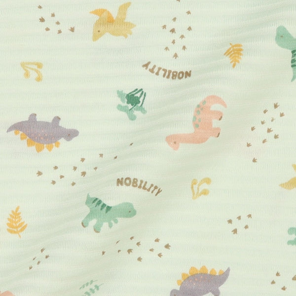 Dinosaur T-shirt and Pants Set
