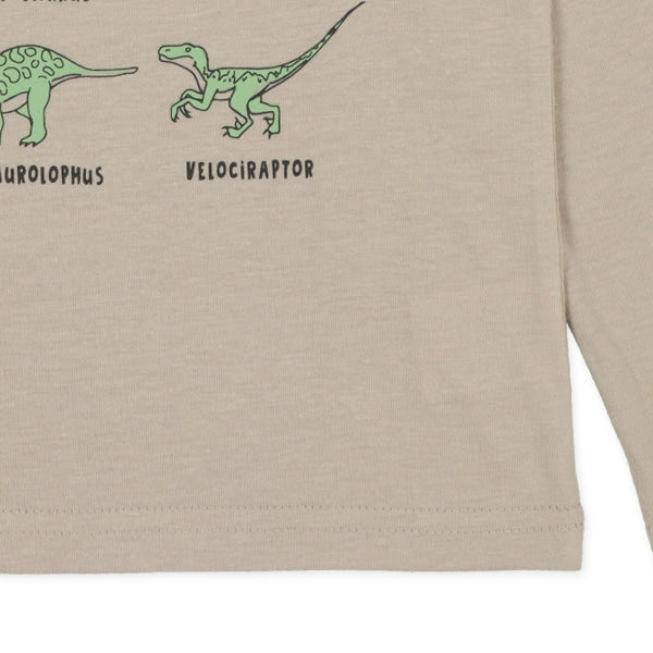 Dinosaurs Long Sleeve Shirt (Winter, Spring, Autumn)