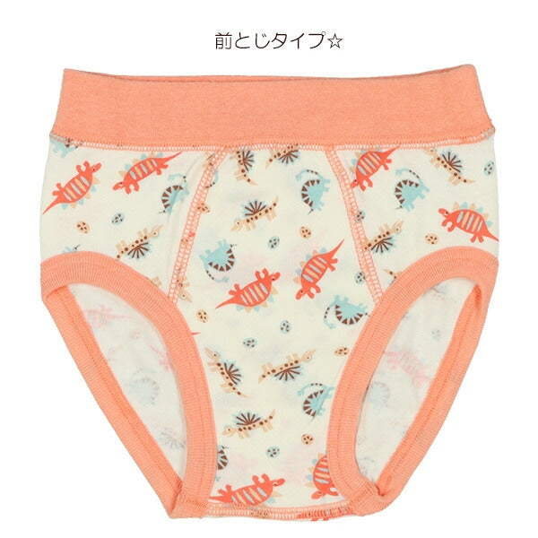 Brief