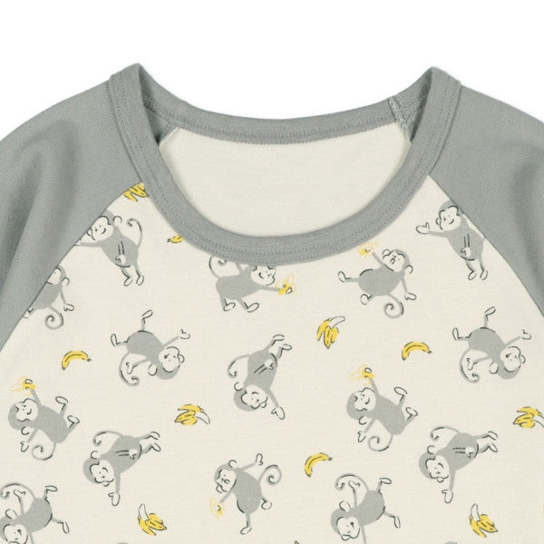 Bundle PA Autumn/Winter/Spring